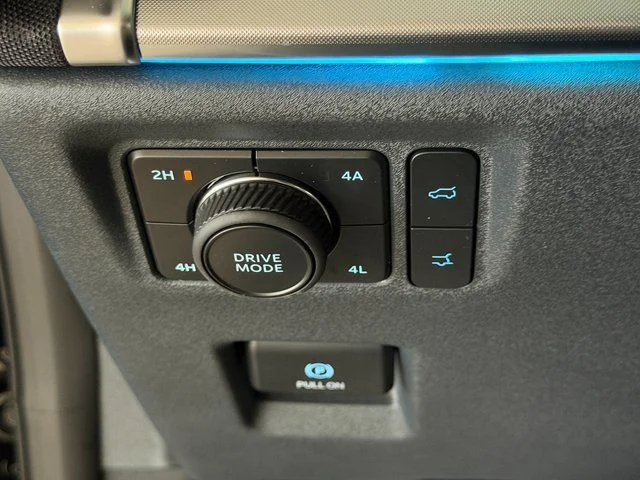 New 2027 Agate Black Metallic Ford Platinum image 38