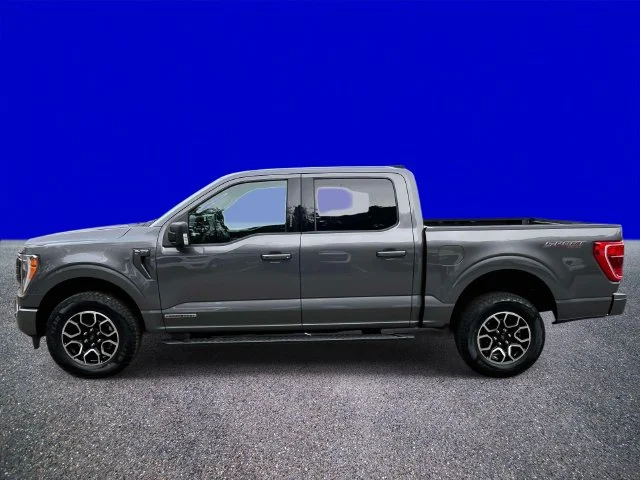 Certified Used 2023 Gray Metallic Ford XLT image 6