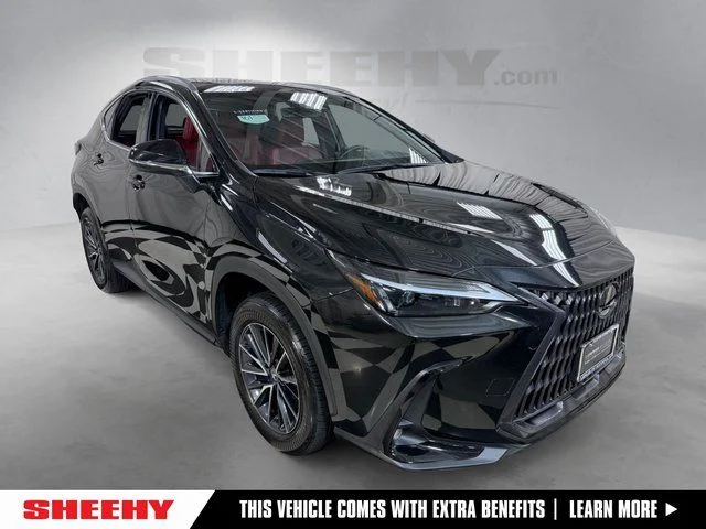 2024 Lexus NX
