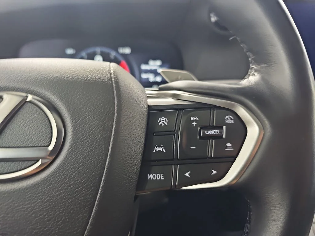 Used 2024 INCOGNITO Lexus 550 Overtrail image 20