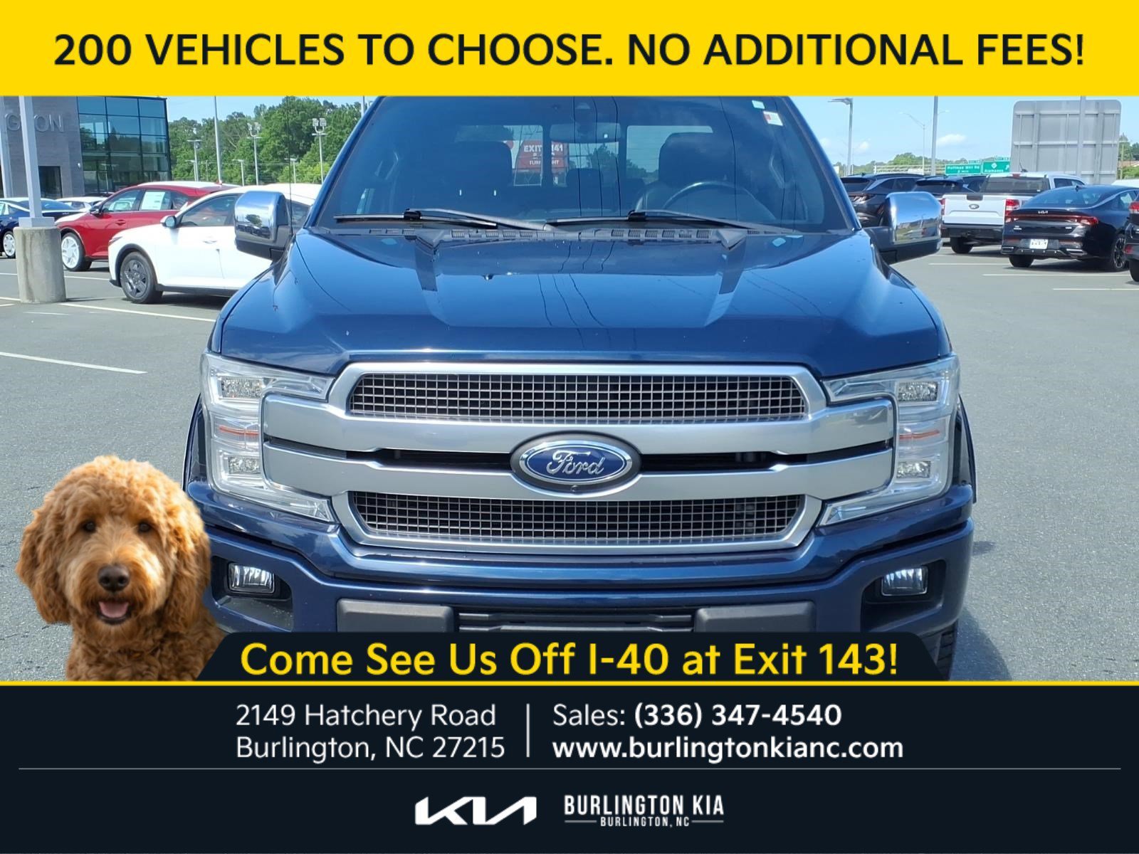 Used 2020 Blue Ford Platinum image 2