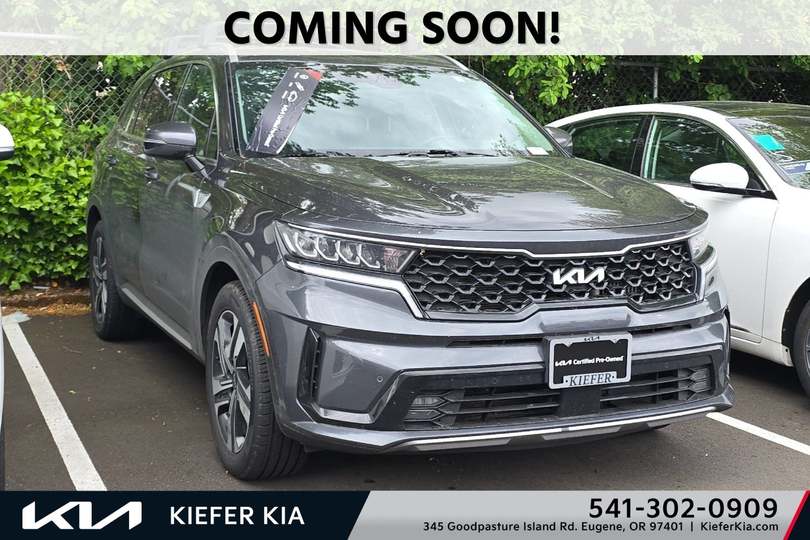2023 Kia Sorento EX Hybrid AT 4WD's photo