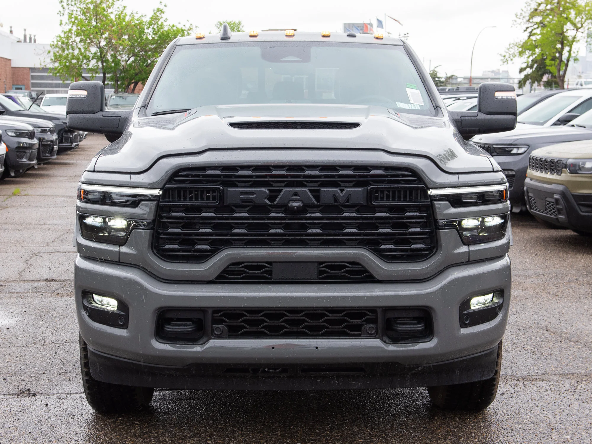New 2026 Grey RAM Limited* image 10