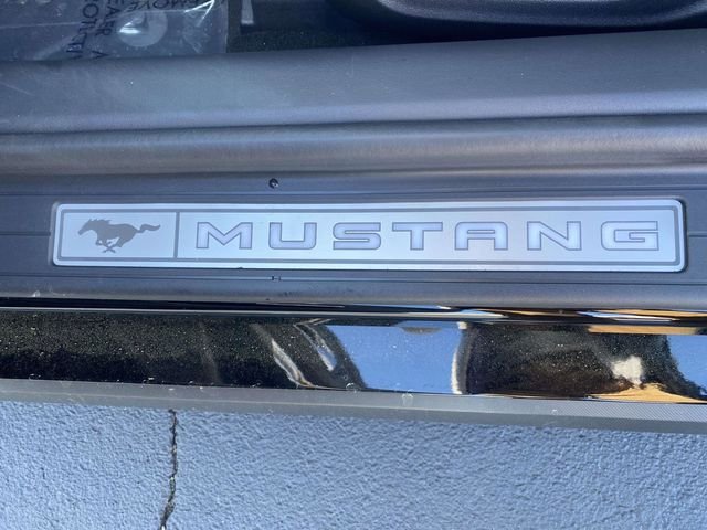 2025 Ford Mustang EcoBoost Premium Convertible - Photo 13