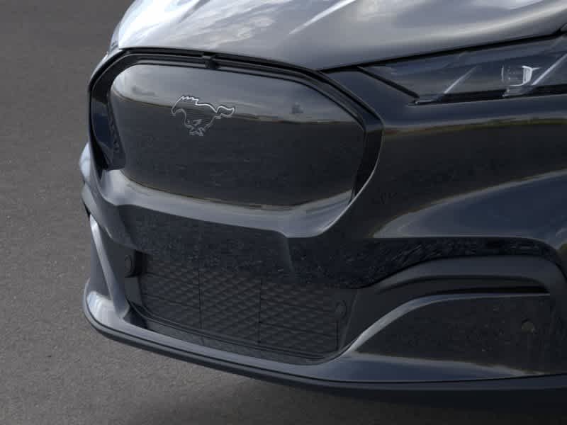 New 2026 Shadow Black Ford Premium image 17