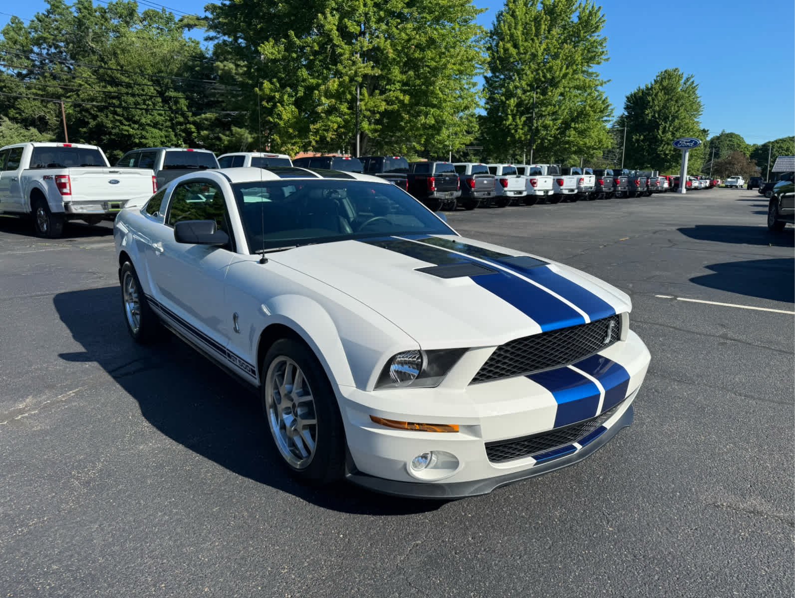 Used 2007 Performance White Ford Shelby GT500 image 8