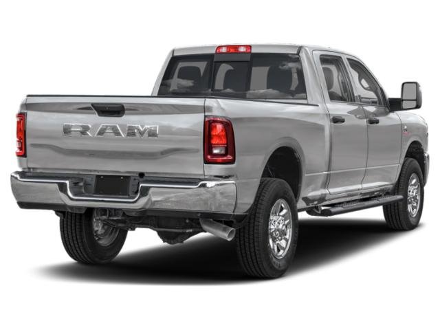 New 2026 Silver-Zynith Exterior Paint RAM TRADESMAN image 3