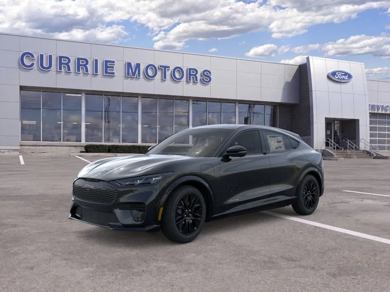New 2026 Shadow Black Ford Premium image 1