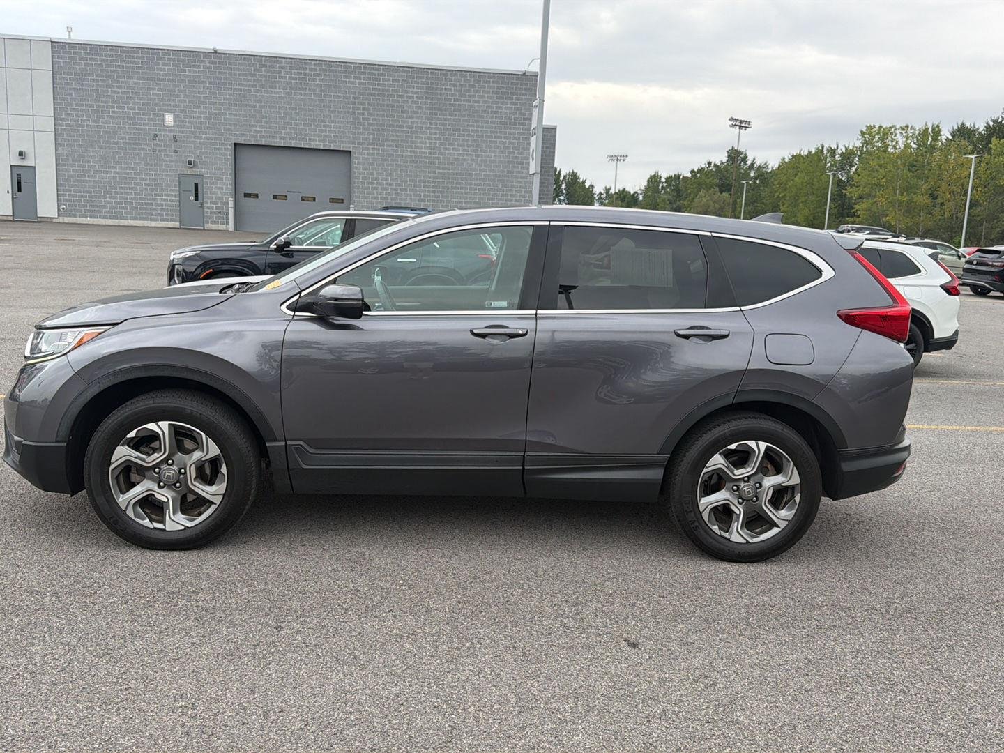 Used 2019 Modern Steel Metallic Honda EX image 6