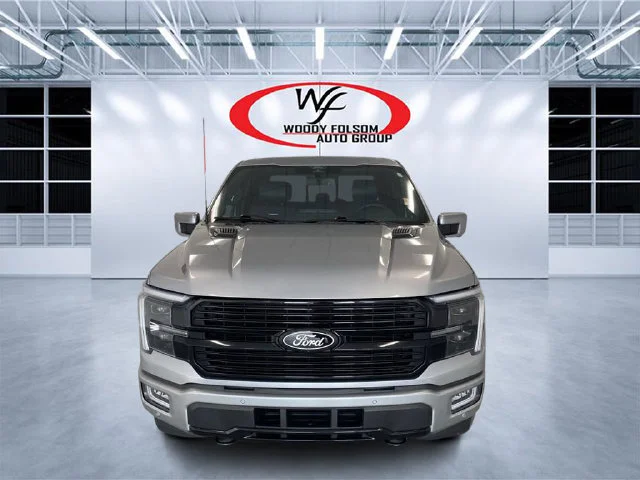 Used 2025 Silver Ford Platinum image 10