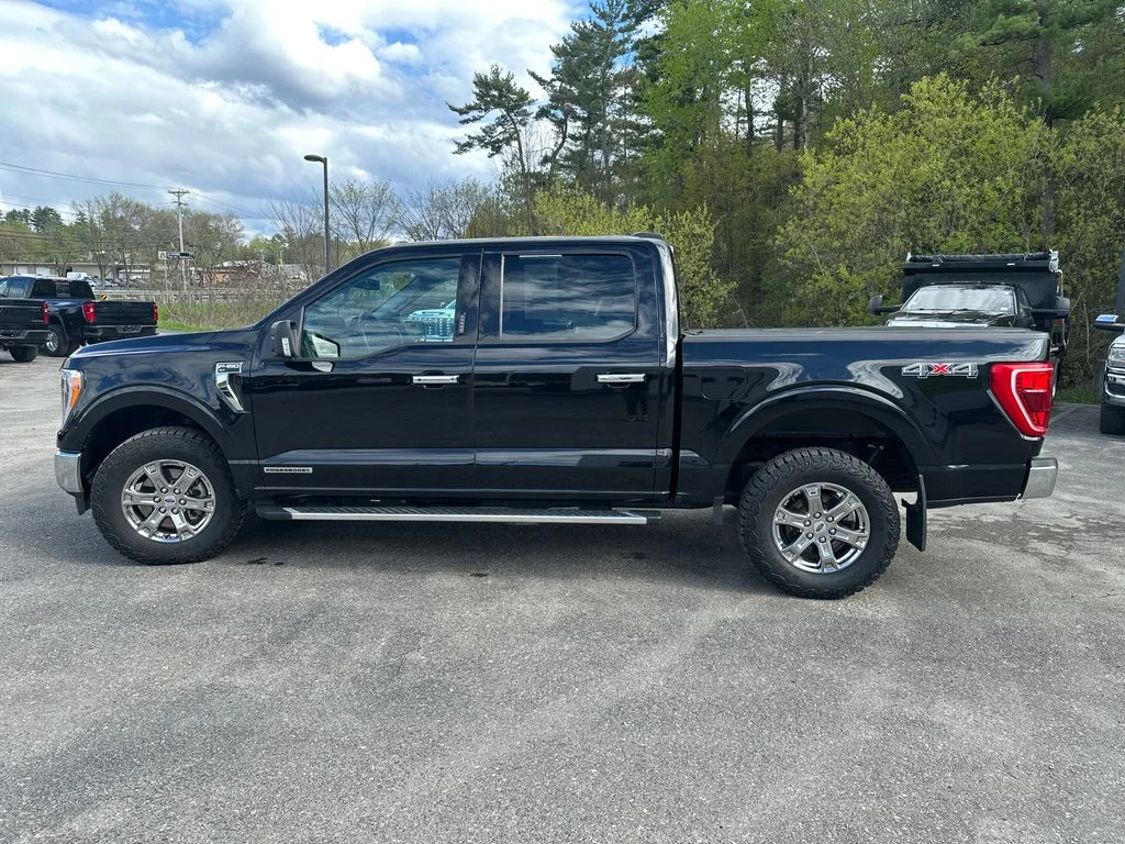 Used 2023 Black Ford XLT image 2