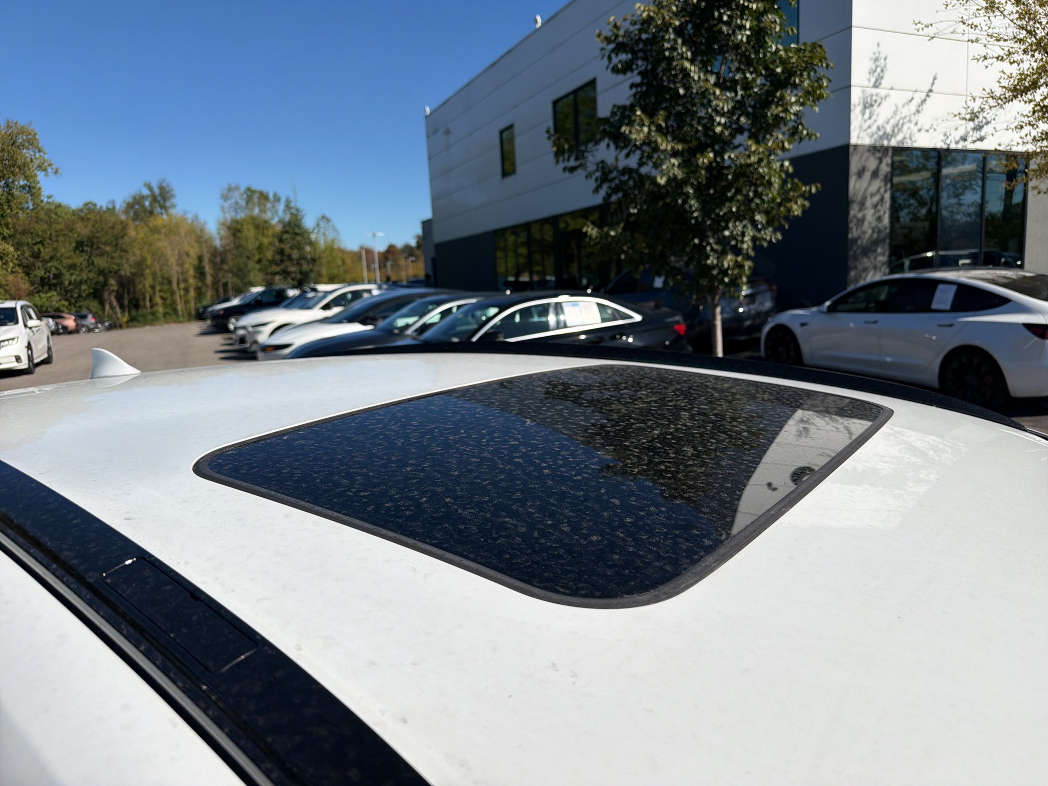 Used 2024 Ultra White Lexus F SPORT Handling image 4