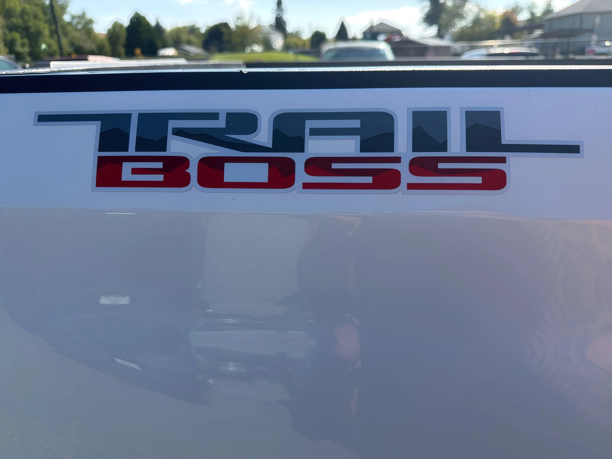 2025 Chevrolet Silverado 1500 LT Trail Boss - Photo 6