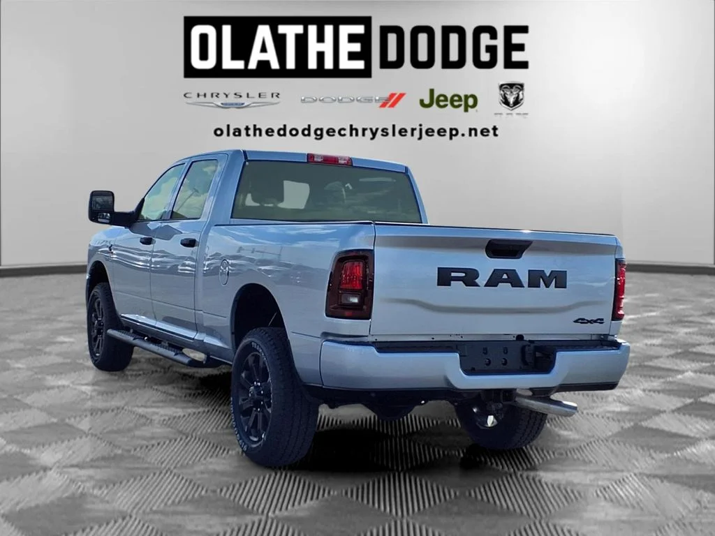 New 2026 Silver-Zynith Exterior Paint RAM Tradesman image 3
