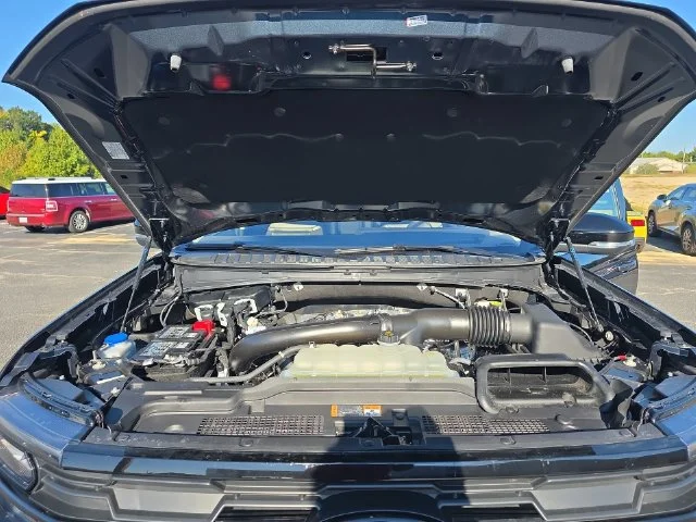 Used 2025 Blue Ford Active image 33