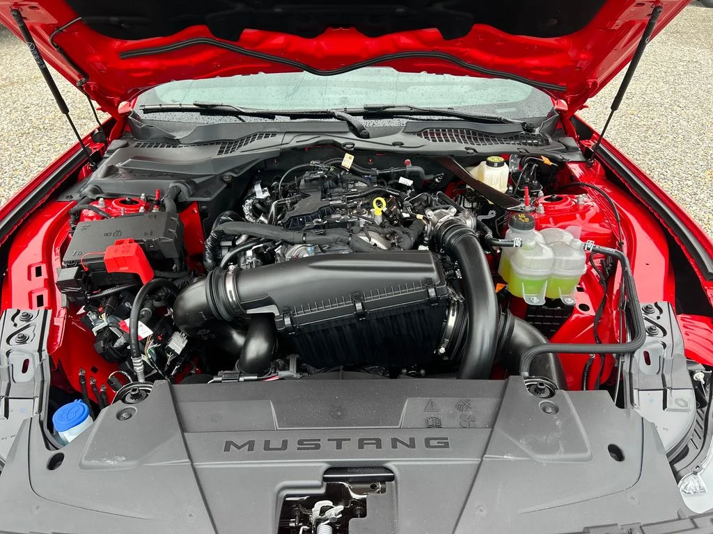 New 2026 Race Red Ford EcoBoost® Premium Fastback image 38