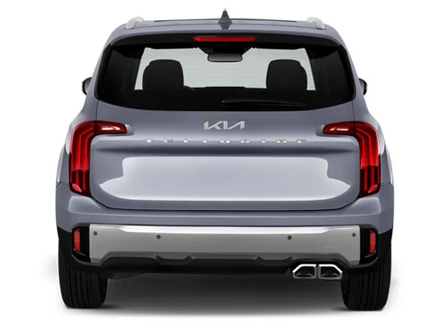 Used 2025 Panthera Metal Kia S image 6