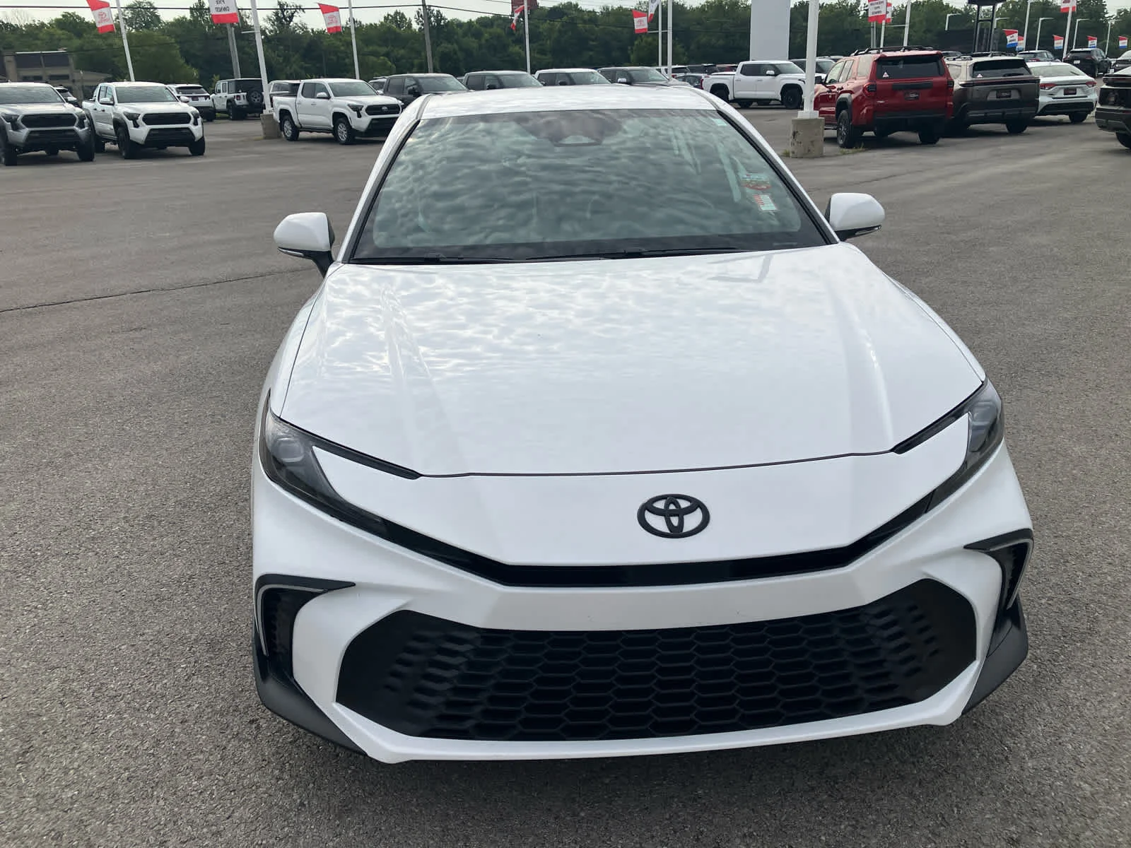 Certified Used 2026 Ice Cap Toyota SE image 4