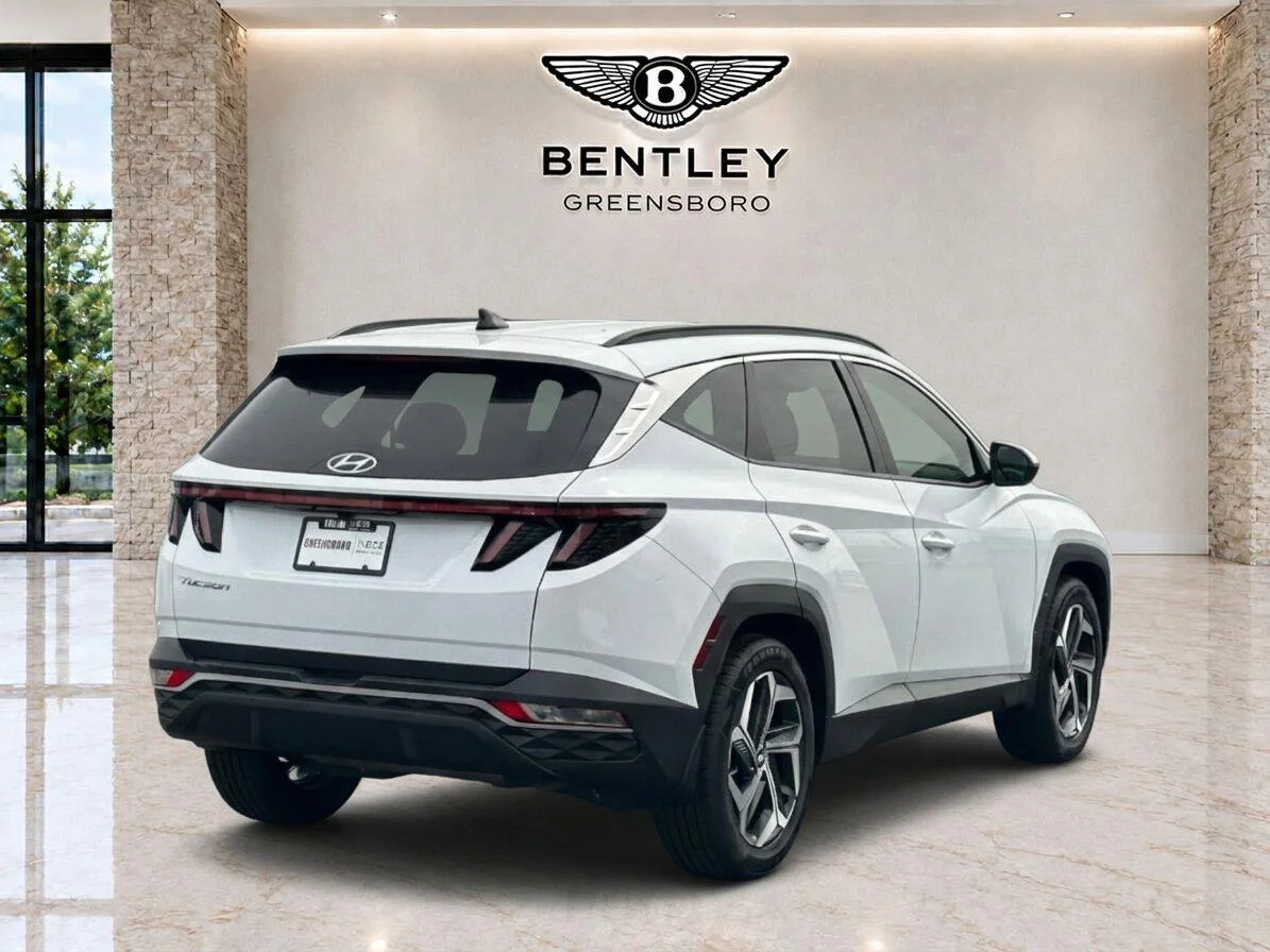 Used 2023 Serenity White Pearl Hyundai SEL image 5