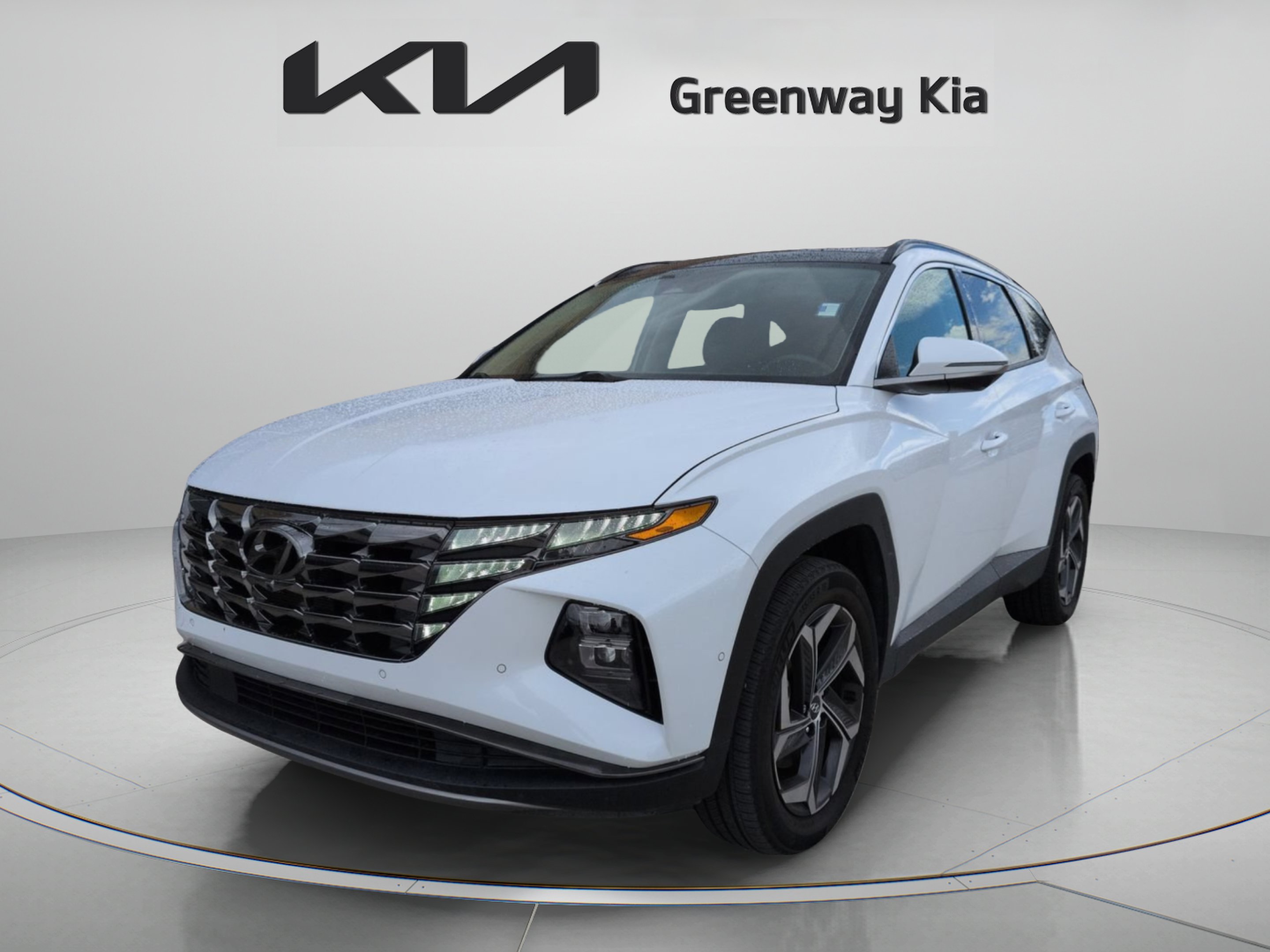 Used 2024 White Pearl Hyundai Limited image 4