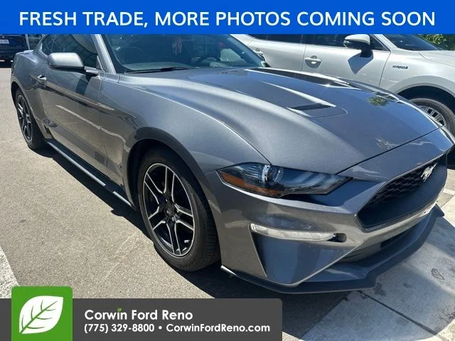 Used 2023 Gray Ford EcoBoost Premium image 1