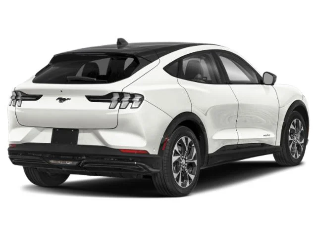 Used 2025 STAR WHITE MET TRI-COAT Ford Premium image 3