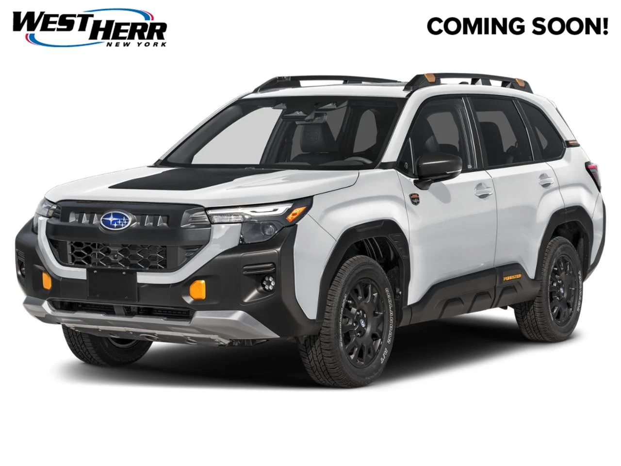 Used 2026 Crystal White Pearl Subaru Wilderness image 1