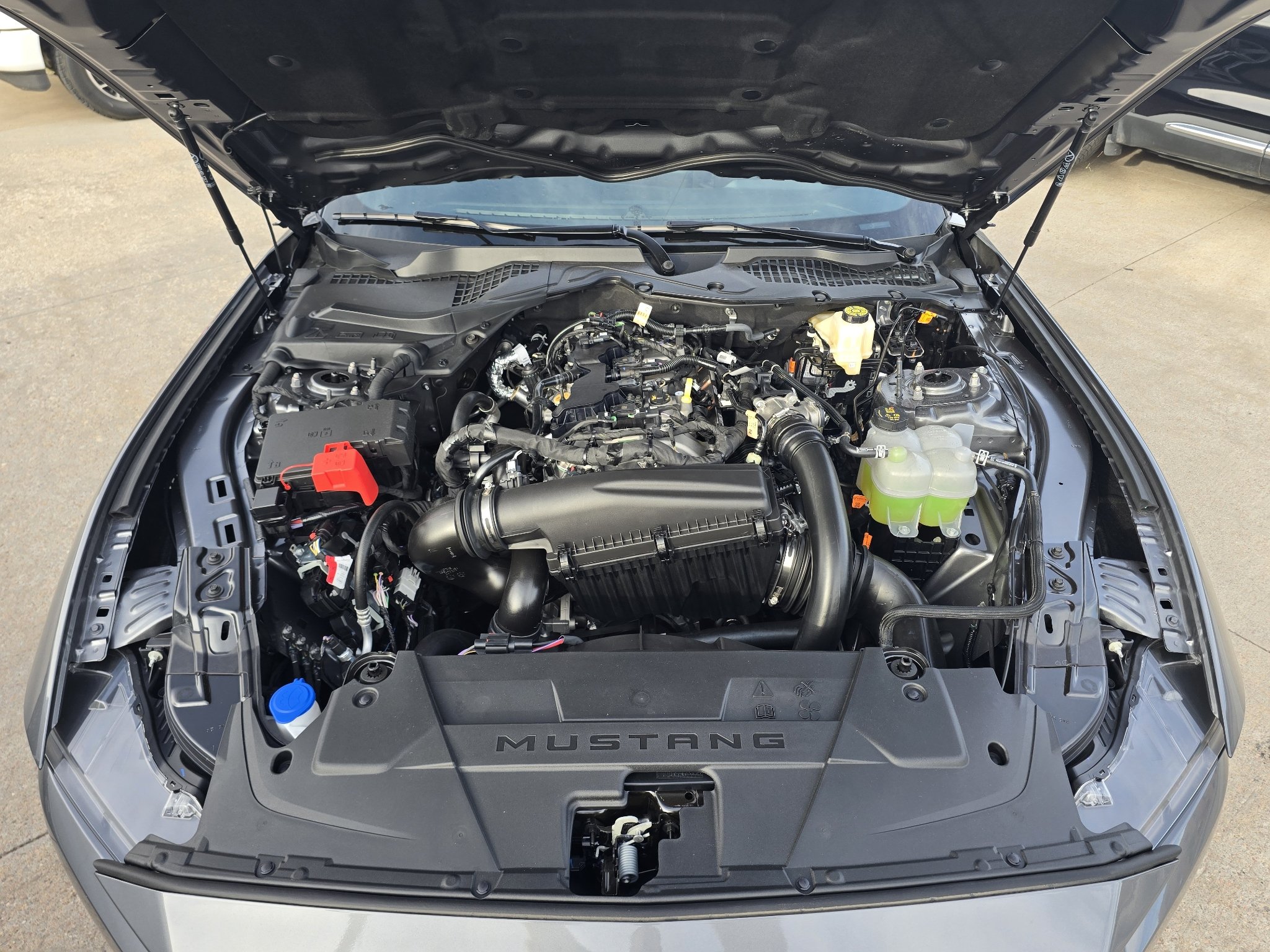 New 2026 Carbonized Gray Metallic Ford EcoBoost® Fastback image 40