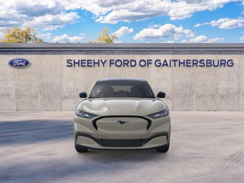 New 2026 Desert Sand Ford Premium image 6