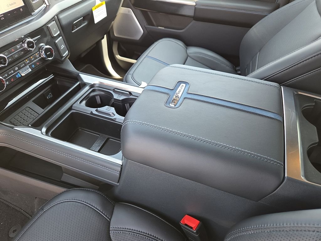 New 2026 Gray Ford Platinum image 25