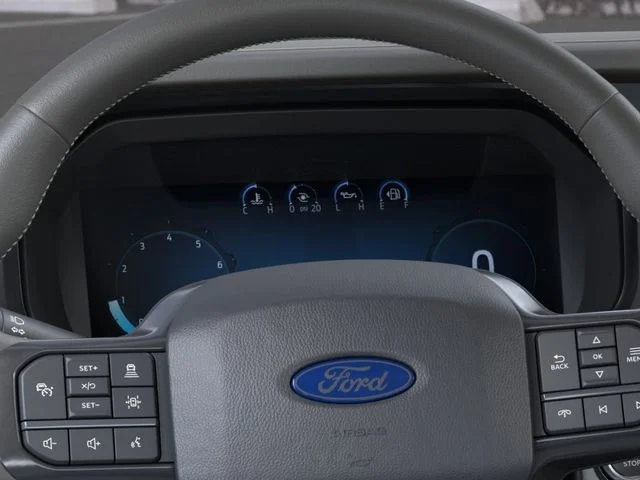 New 2026 Agate Black Metallic Ford Platinum image 13