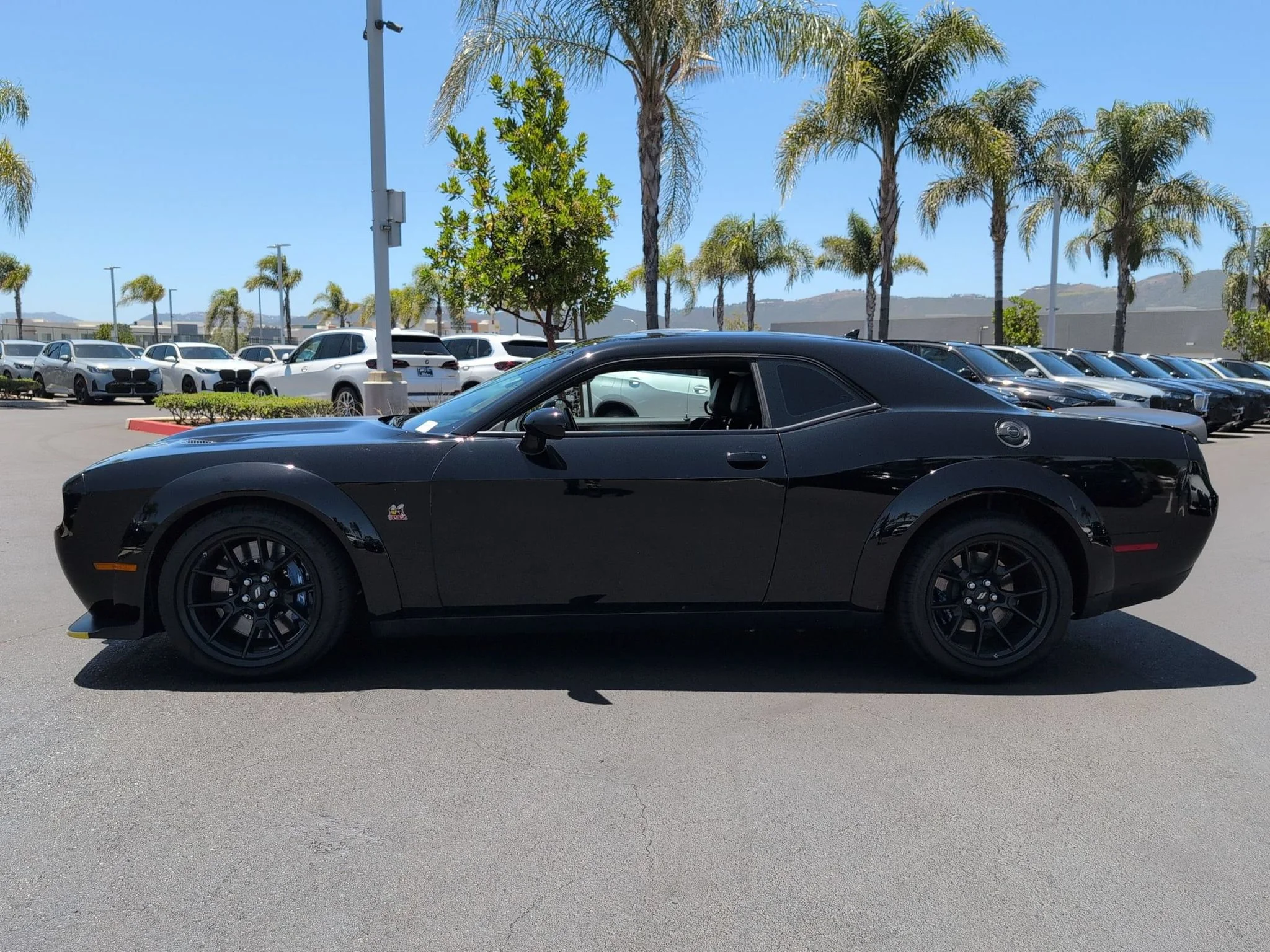 Used 2023 Pitch Black Clearcoat Dodge R/T Scat Pack Widebody image 5