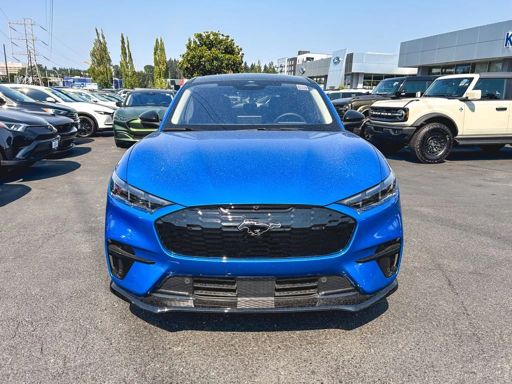 New 2026 Velocity Blue Metallic Ford Premium image 5