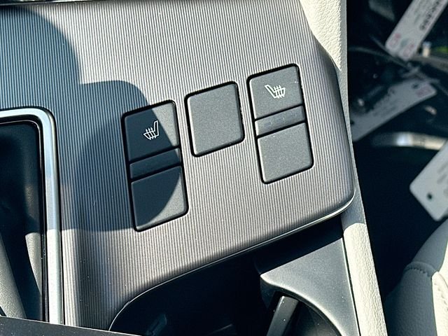 New 2026 Panthera Metal Kia EX image 19
