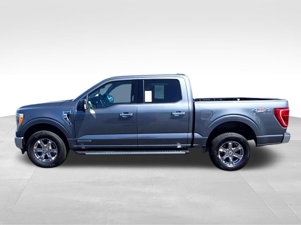 Used 2023 Gray Ford XLT image 5