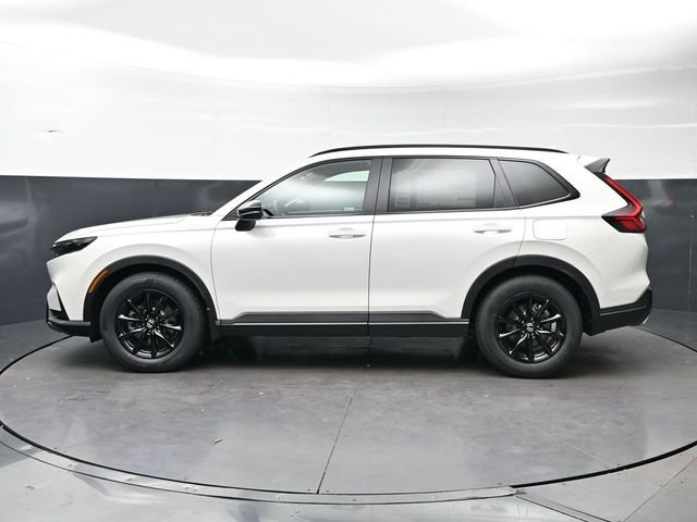 New 2026 Platinum White Pearl Honda Sport-L image 8