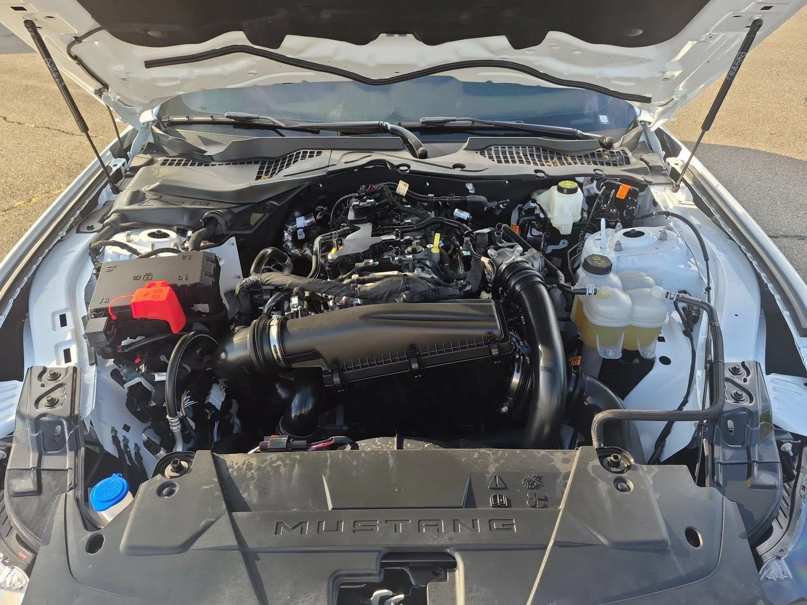 Used 2025 Oxford White Ford EcoBoost image 36