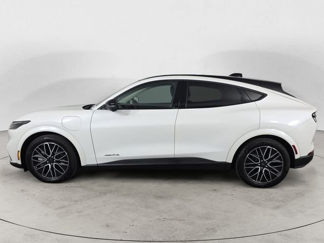 Used 2025 White Ford Premium image 2