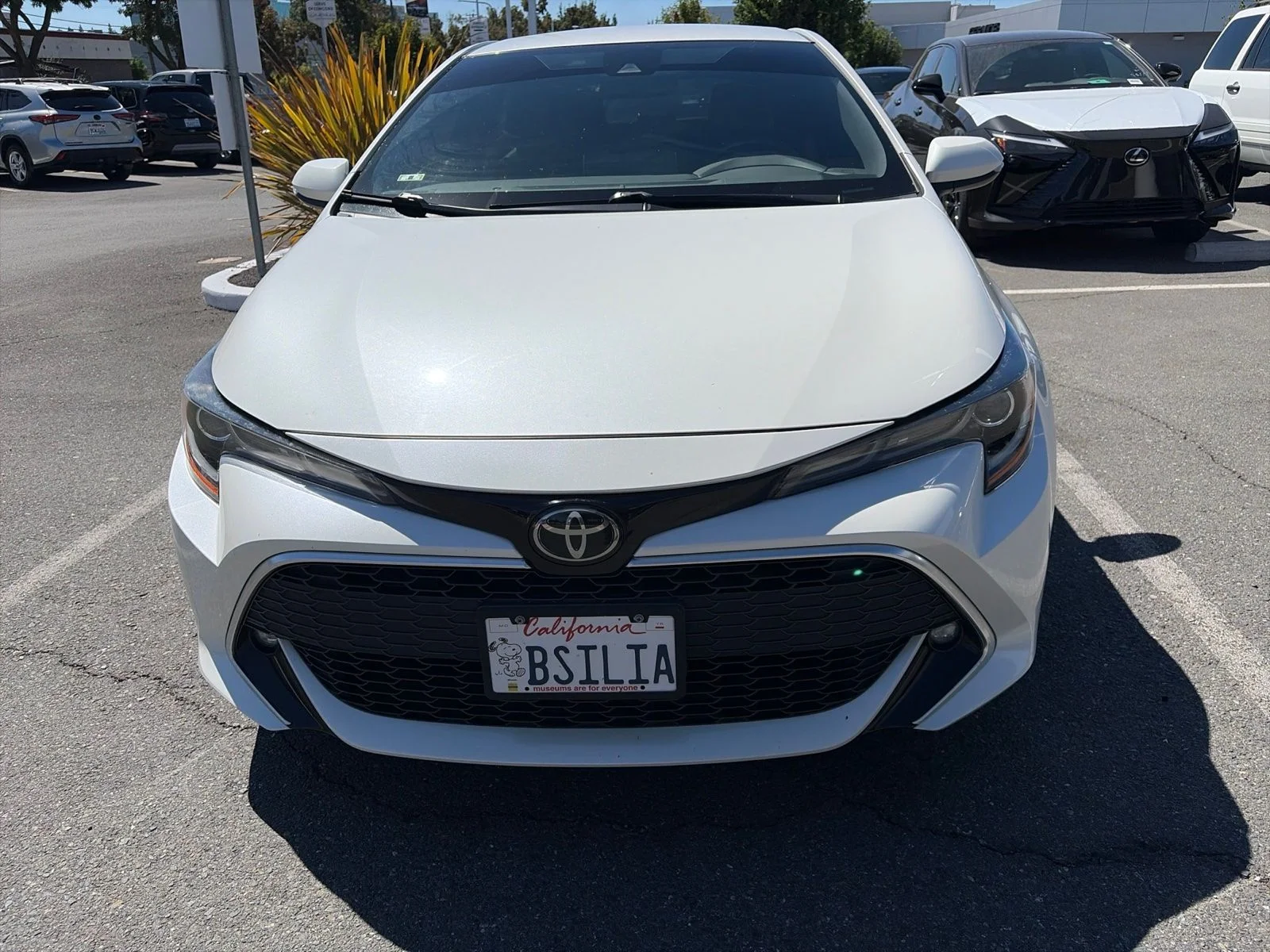 Used 2019 Super White Toyota XSE image 2