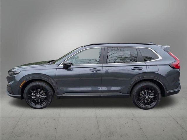 New 2026 Meteorite Gray Metallic Honda Sport image 2