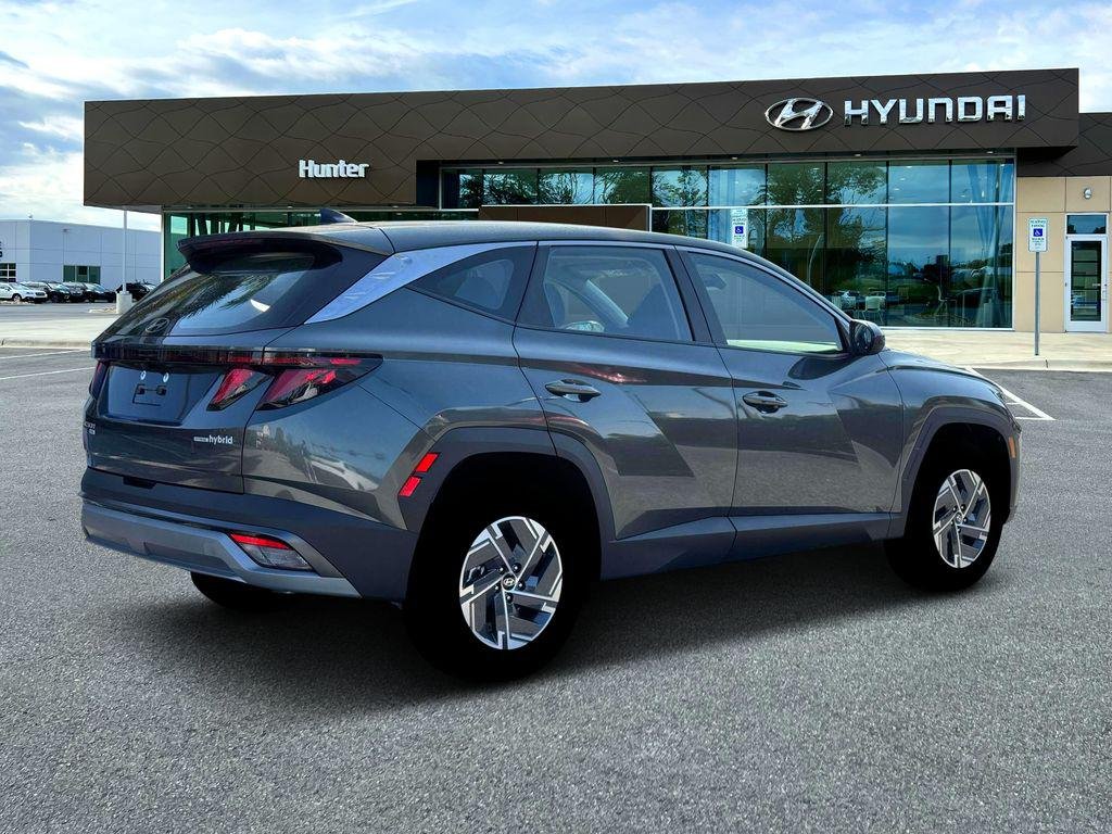 New 2026 Amazon Gray Hyundai Blue image 8