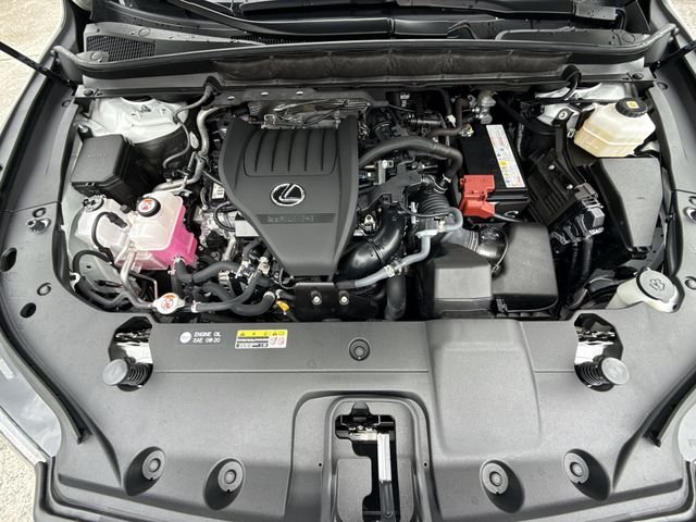 2024 Lexus RX 350 - Photo 27