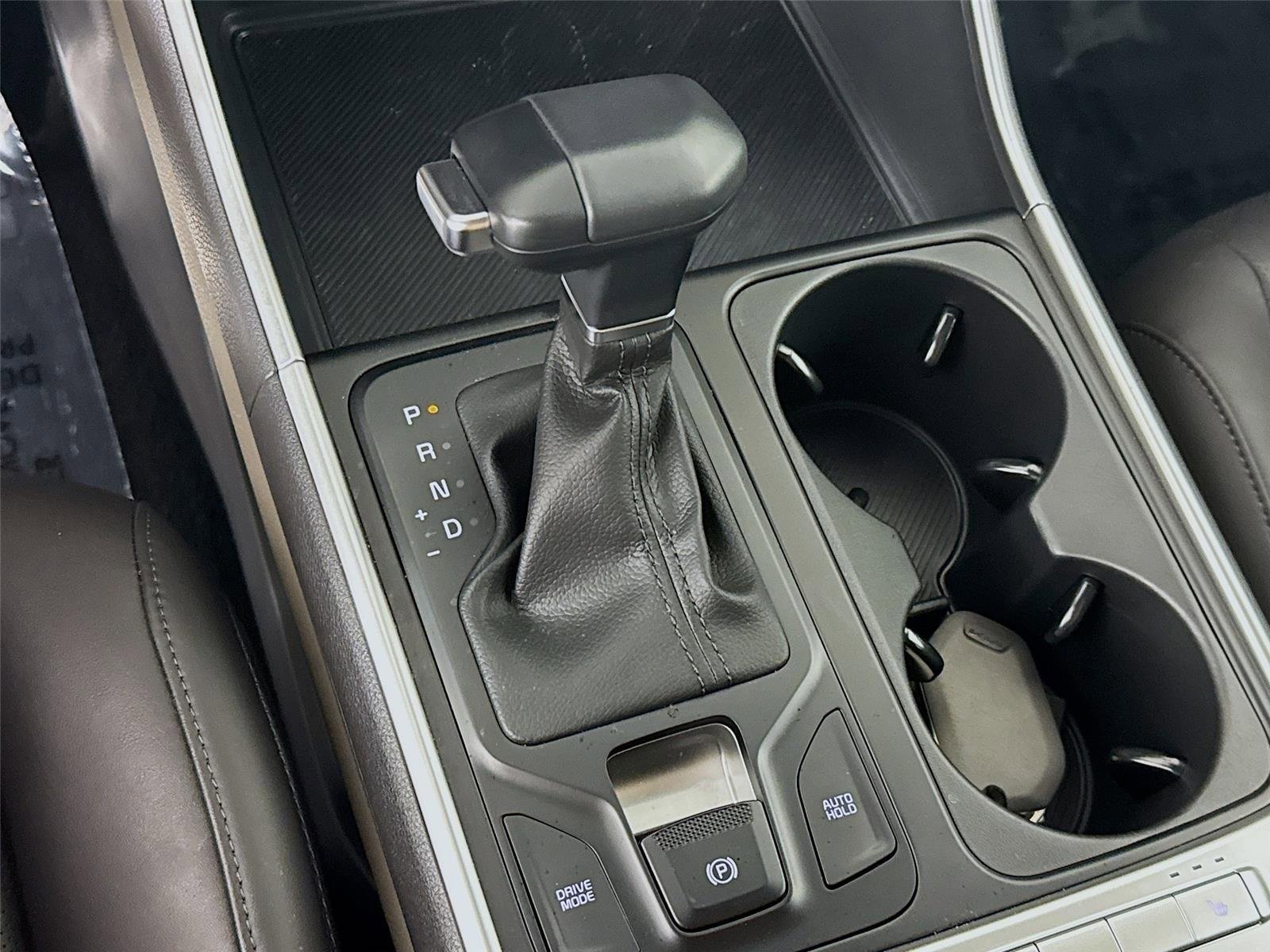 Used 2025 Panthera Metal Kia LXS image 18