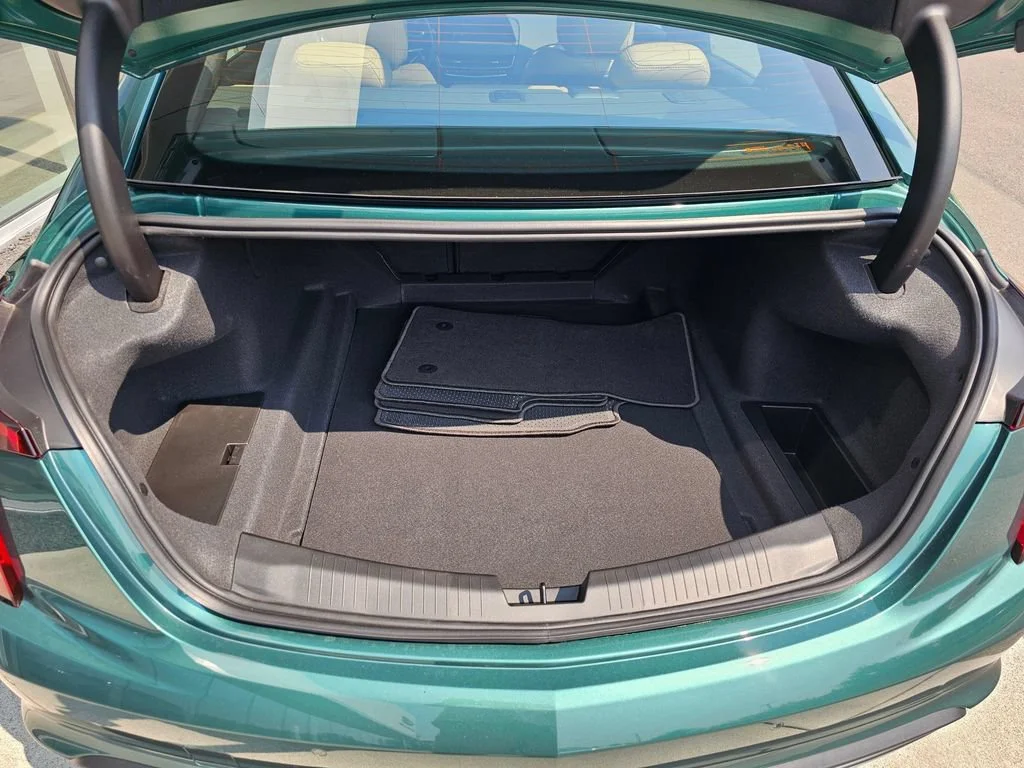 New 2026 Typhoon Metallic Cadillac Premium Luxury image 13