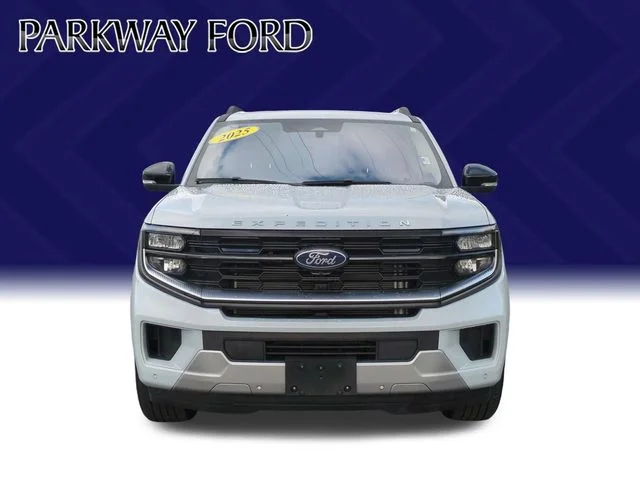 Used 2025 Silver Ford Platinum image 8