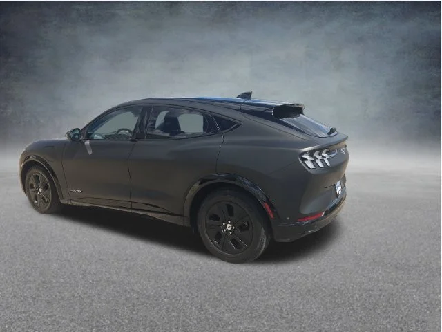 Used 2023 Blue Ford California Route 1 image 5