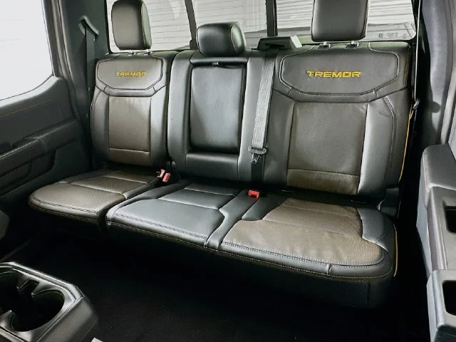 New 2026 Gray Ford Tremor image 11