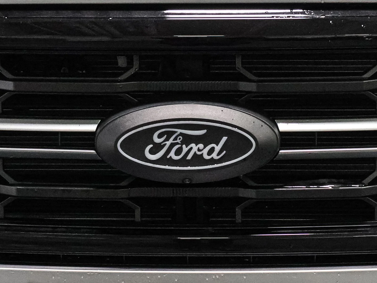 2025 Ford F-150 XLT - Photo 13