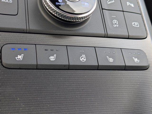 2025 Hyundai Palisade Calligraphy Night Edition - Photo 60