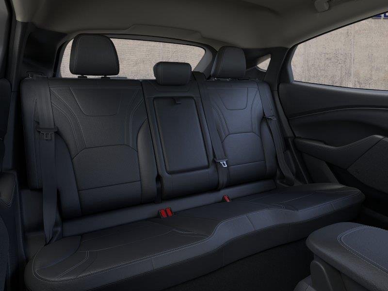 New 2026 Shadow Black Ford Premium image 14